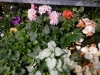dscn0751