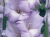 1f2a3f7bd14cc86f6f50b3b197f24fae