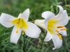 dollarphotoclub_87132911-1024x676