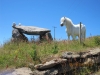 typical-rock-table-and-white-horse-aglish-ireland1152_12808846739-tpfil02aw-20360