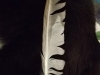 08