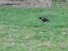 dscn0508
