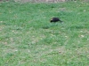 dscn0509