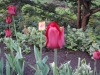 dscn0598
