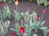 dscn0602