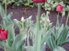 dscn0606