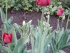 dscn0608