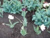 dscn0617