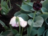 dscn0629