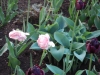 dscn0638