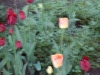 dscn0643