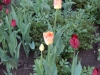 dscn0644