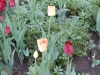 dscn0645