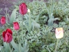 dscn0647