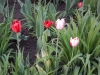 dscn0648