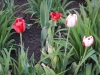 dscn0649