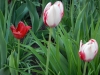 dscn0657