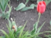 dscn0659