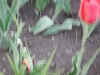 dscn0661