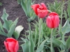 dscn0663