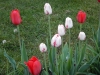dscn0665