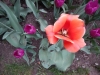 dscn0687