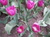 dscn0688
