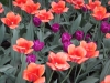 dscn0697