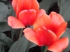 dscn0702