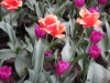 dscn0708