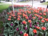 dscn0709