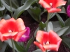 dscn0715