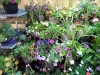 dscn0722