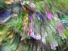 dscn0723