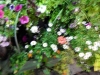 dscn0726