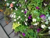 dscn0728