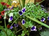 dscn0735