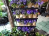 dscn0740