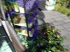 dscn0744