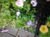 dscn0745