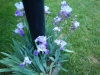 dscn0797
