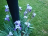 dscn0800