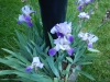 dscn0802