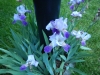 dscn0804