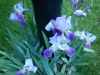 dscn0805