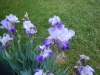 dscn0808