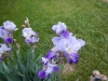 dscn0809