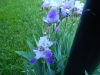 dscn0815