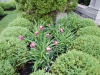 dscn0753