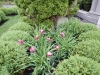 dscn0754